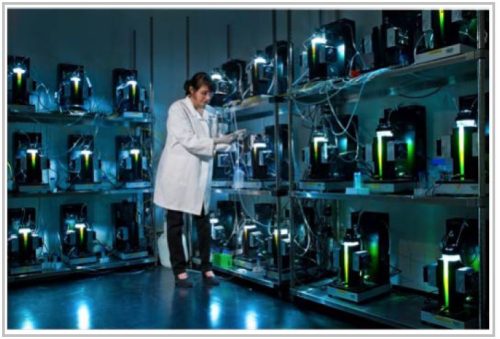 Integrated assessment of algae strains, cultivation conditions, and productivity